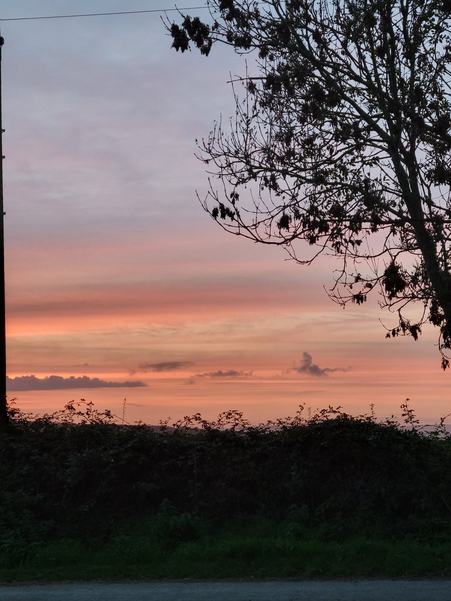 "Red sky at night Sheperds delight" #redsky #sundayvibes #evening