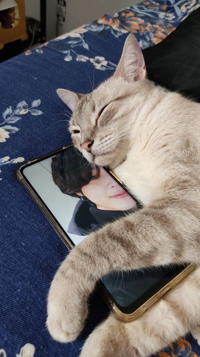 pjmfilmz's tweet photo. i love my jimin https://t.co/DdL5C8IFDX