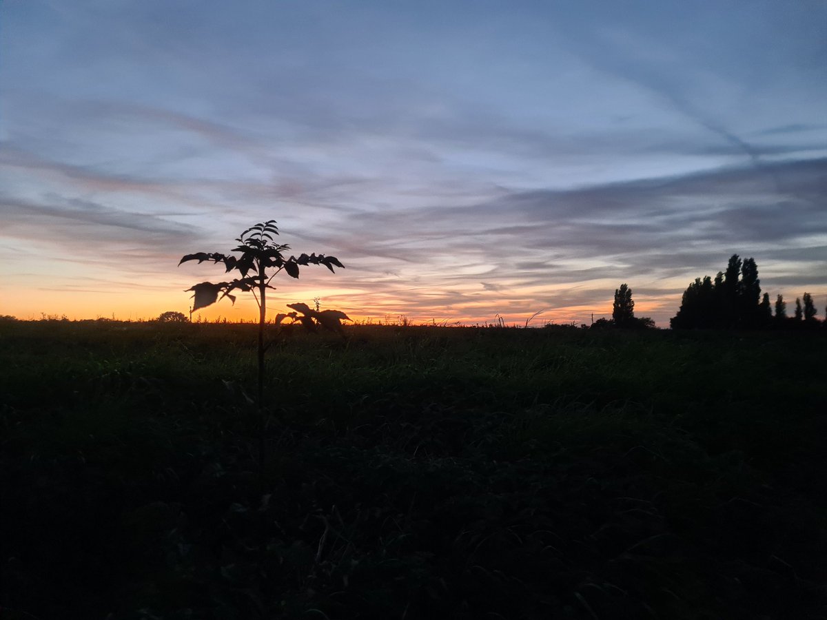 Schönen Abend allerseits 🌃