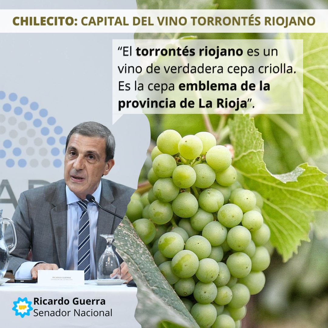 RicardoGuerraLR's tweet photo. #ChilecitoCapitalNacionalDelTorrontes

✍️ En la Comisión de Economías Regionales del @SenadoArgentina se firmó dictamen del Proyecto de Ley de mi autoría que reconoce a #Chilecito como Capital Nacional del Vino Torrontés Riojano. https://t.co/DXw6WmDa9A