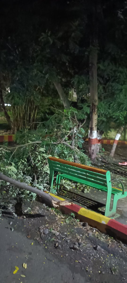 SHIVSHANKAR_SS's tweet photo. @PCMCSarathi @pcmccomm @shekhardalal Ganesh Talav Garden, located in Nigdi Pradhikaran, Sector 26. Today,a tree branch collapsed onto a bench where  senior citizens were seated. As we informed the garden in-charge, there was no response.I kindly request pls look into this matter. https://t.co/RwZP008EQo