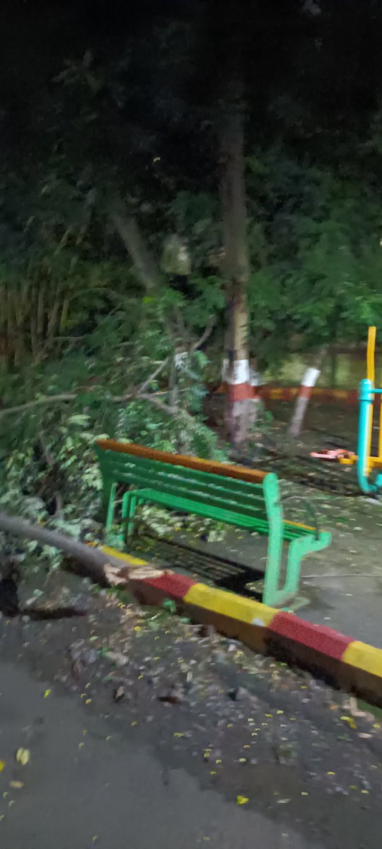 SHIVSHANKAR_SS's tweet photo. @PCMCSarathi @pcmccomm @shekhardalal Ganesh Talav Garden, located in Nigdi Pradhikaran, Sector 26. Today,a tree branch collapsed onto a bench where  senior citizens were seated. As we informed the garden in-charge, there was no response.I kindly request pls look into this matter. https://t.co/RwZP008EQo