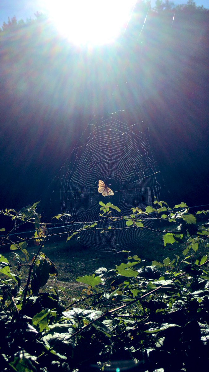 𝚄𝚛𝚛𝚒𝚔𝚘 𝚒𝚐𝚊𝚗𝚍𝚎 𝚐𝚘𝚒𝚣 𝚎𝚐𝚞𝚣𝚔𝚒𝚝𝚜𝚞 𝚋𝚊𝚝𝚎𝚣