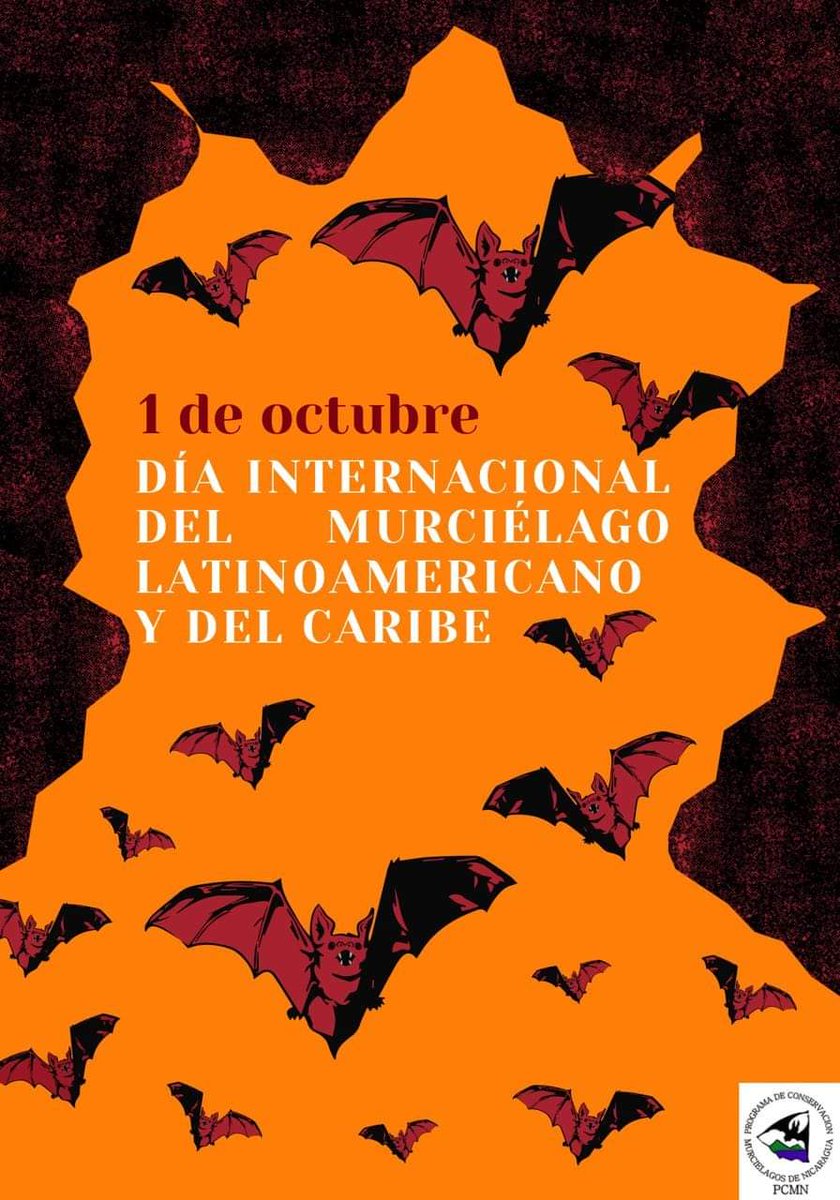 BioBurunga's tweet photo. 1 de octubre Día internacional del murcielago latinoamericano y del Caribe @Relcom_ @BatConIntl . En nuestra comunidad @Burunga1 tenemos algunas especies se gran importancia #PanamaOeste https://t.co/sW8pOXkbPe
