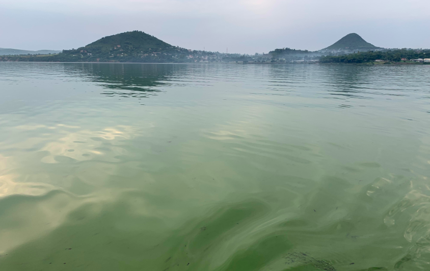ZepernickBN's tweet photo. Our manuscript from the #NSF Advanced Studies Institute on Lake Victoria is out! Check out this student-led effort driven by @akinyijulia3 and others @Olokotum @KNatwora to read how small-scale fishing communities respond to HABs!   https://t.co/GapgtMoMUG https://t.co/Chuzk9lwLh