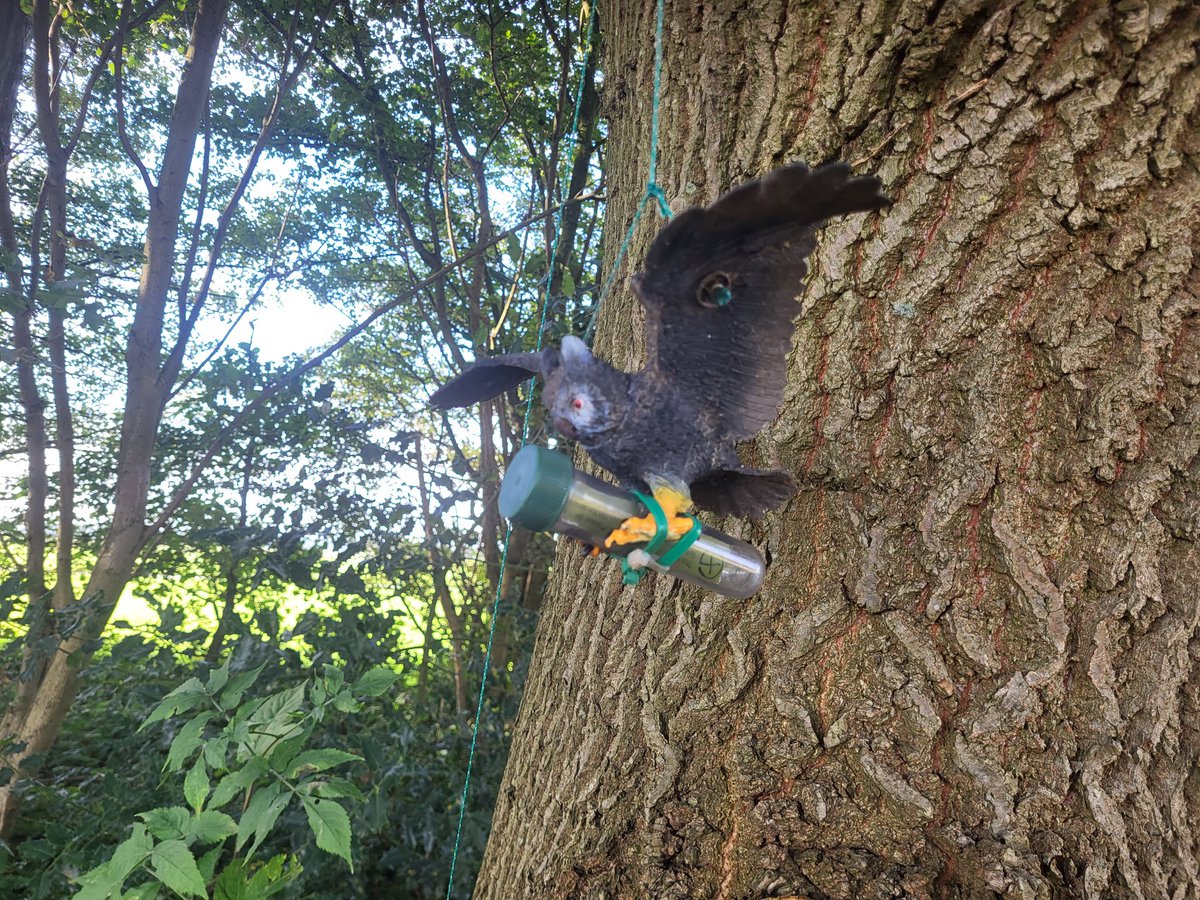 Aha! Dit is dus <a href="/geocaching/">Julien (GC Sash)</a>. Al veel over gehoord. Nu eindelijk een ontdekt <a href="/Gemeente_LV/">Gemeente LV</a>