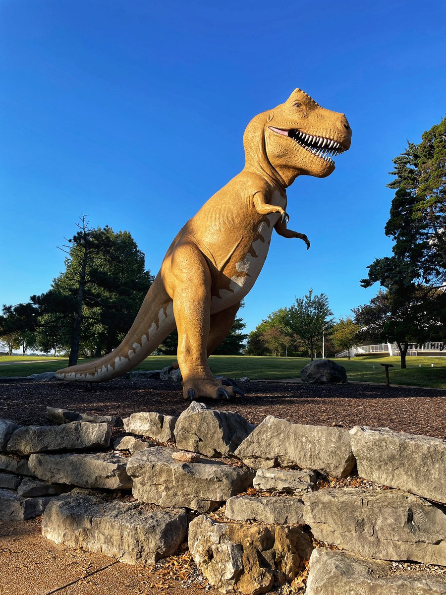 Run_Junkie's tweet photo. Run around Forest Park. #STLRunning https://t.co/PWLR1Qv8HY