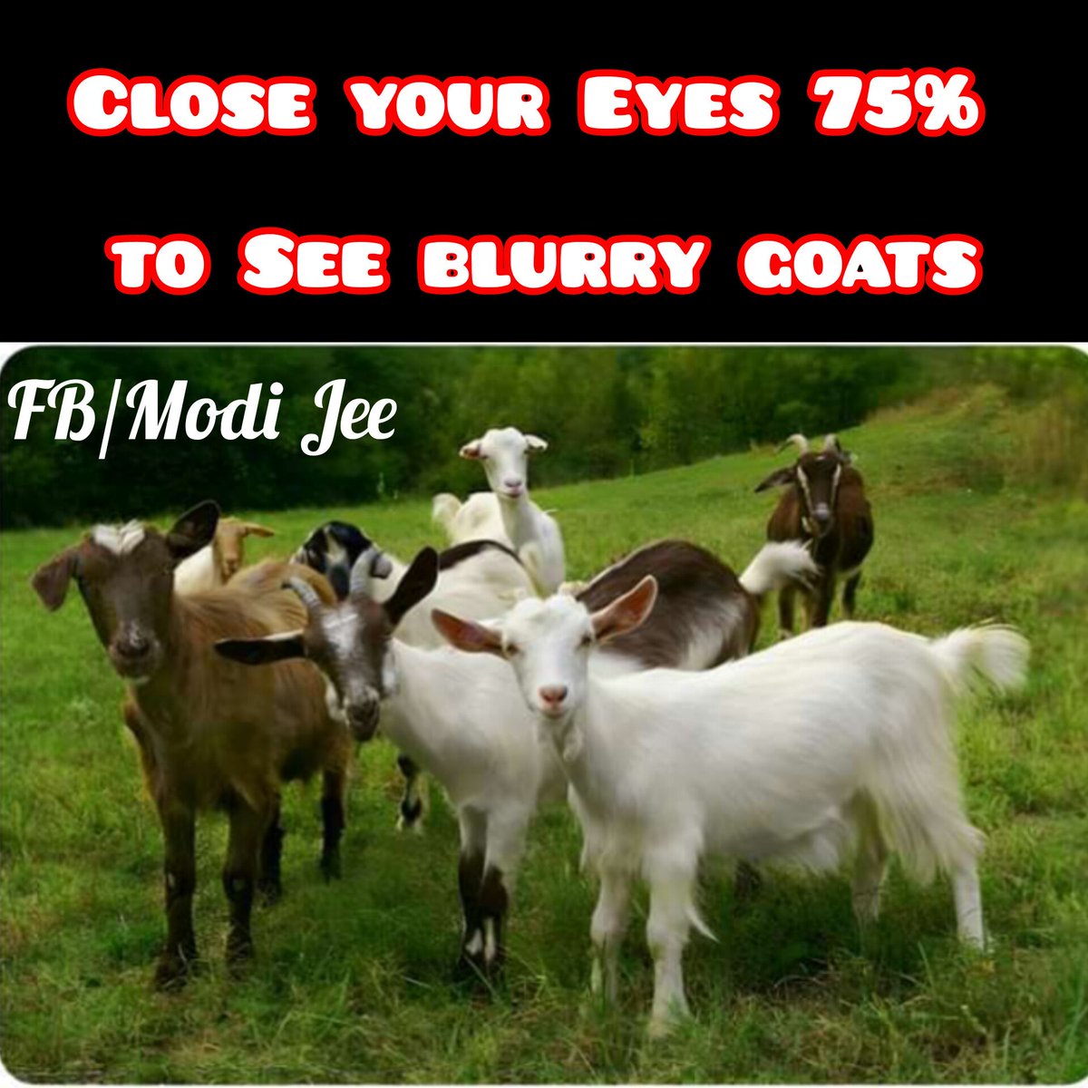 Modi Jee tweet media