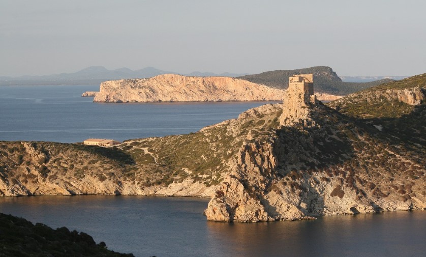 AutosVima's tweet photo. Cabrera, is a true gem in the Mediterranean. Steeped in history from pirate hideouts to heavily guarded military bases, it now welcomes curious visitors eager to explore its untouched nature and past.
https://t.co/smb2xdWUTc
#mallorca #cabrera #sun #sommer #sun https://t.co/hBzxcCkWtt