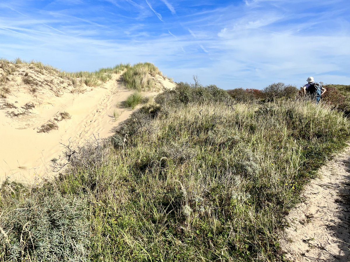 Paul Verspeek tweet media