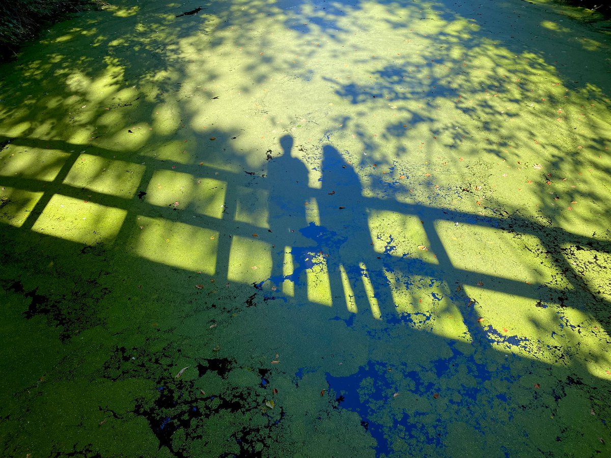 Paul Verspeek tweet media