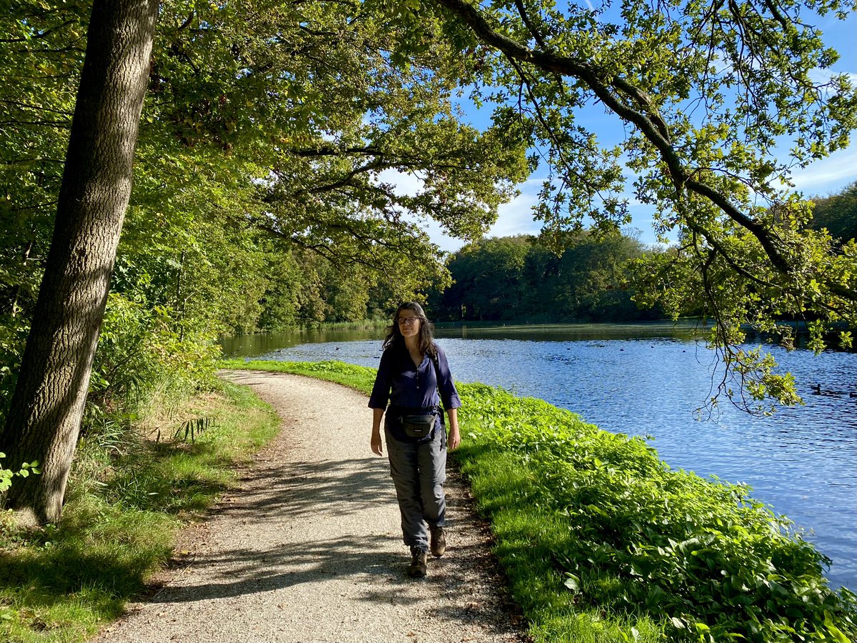 Paul Verspeek tweet media