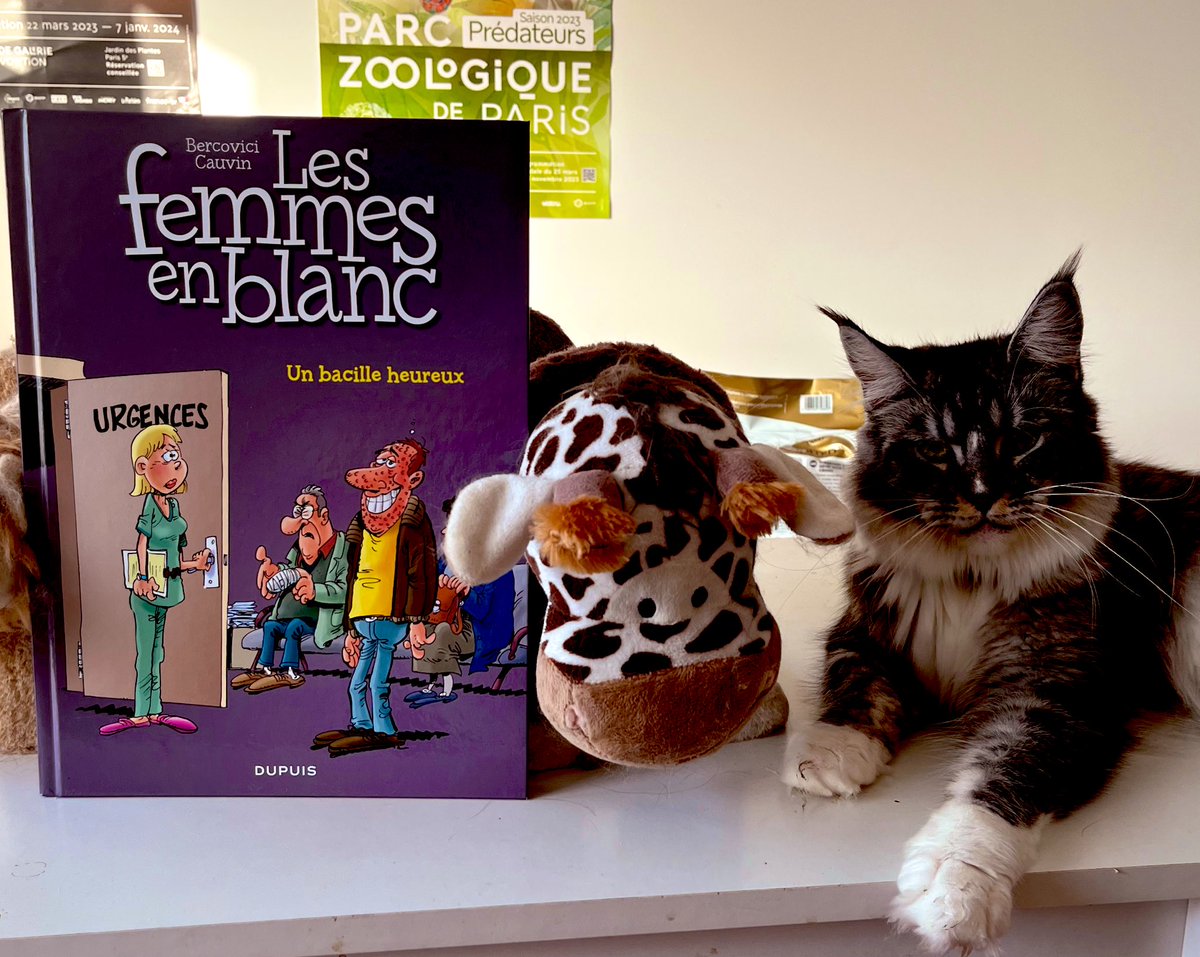 ROXANE66's tweet image. #DimancheBD 📖📖😺😺
Les femmes en blanc
#Bercovici #Cauvin @EditionsDupuis 
Les femmes en blanc sont parées à toute éventualité.Sans elles rien ne tournerait très rond dans l’hôpital,théâtre de la vie dans tous ses états!
Super scénario et de beaux dessins !