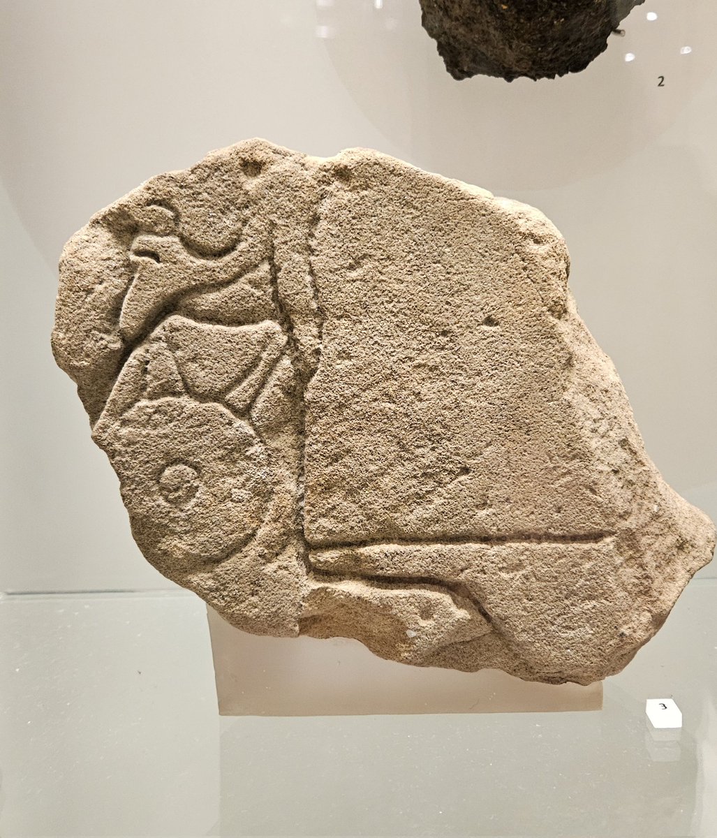 GovanStones's tweet photo. Our own @FranzAnnem spotted an interesting parallel between this stone from Burghead, held at @NtlMuseumsScot, and the Govan Warrior.

Note the pointed beard, long hair, and most importantly, small, round shield held on shoulder straps on the left side of the body. https://t.co/d2iGwOy364
