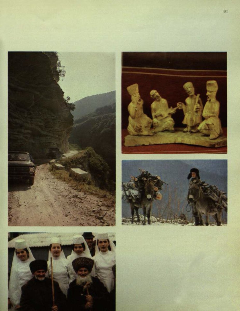 The True Caucasians tweet media