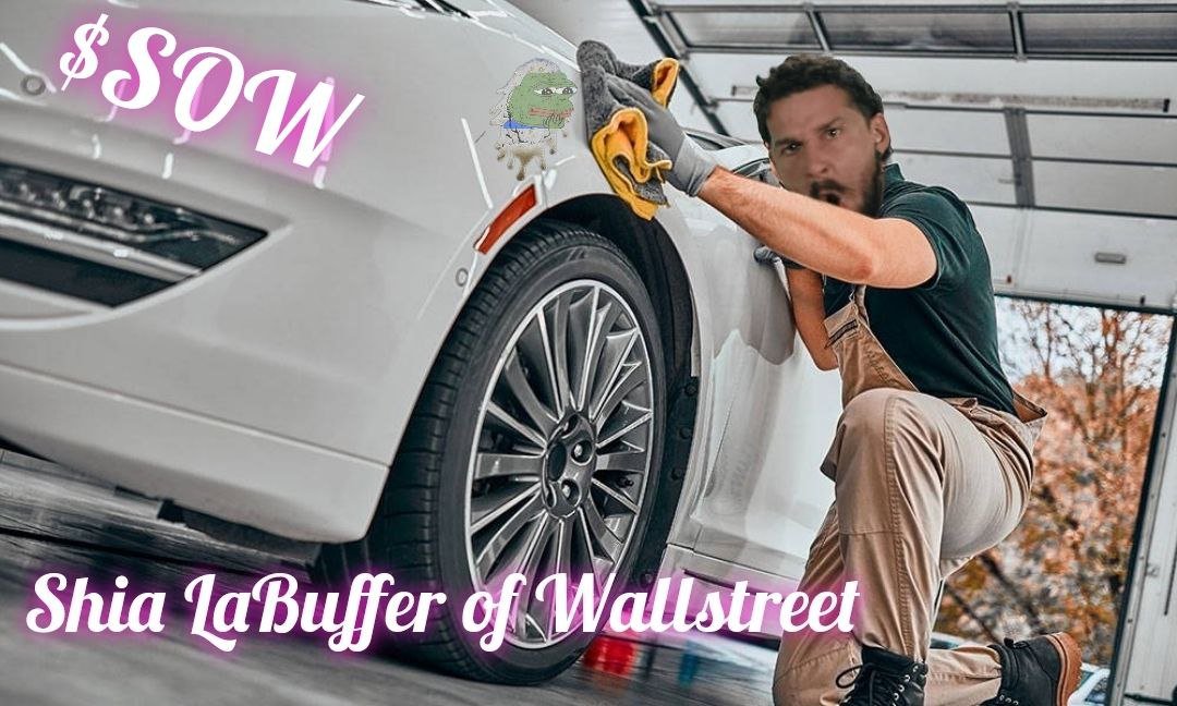 TheNikko's tweet photo. Check out $SOW. Token launched 4 weeks ago. Team still active. Chunky LP locked. Dev working on some nice dapps to help you avoid scammers. And all the Shia LaBeouf memes you could want https://t.co/YQTDEWcBY3