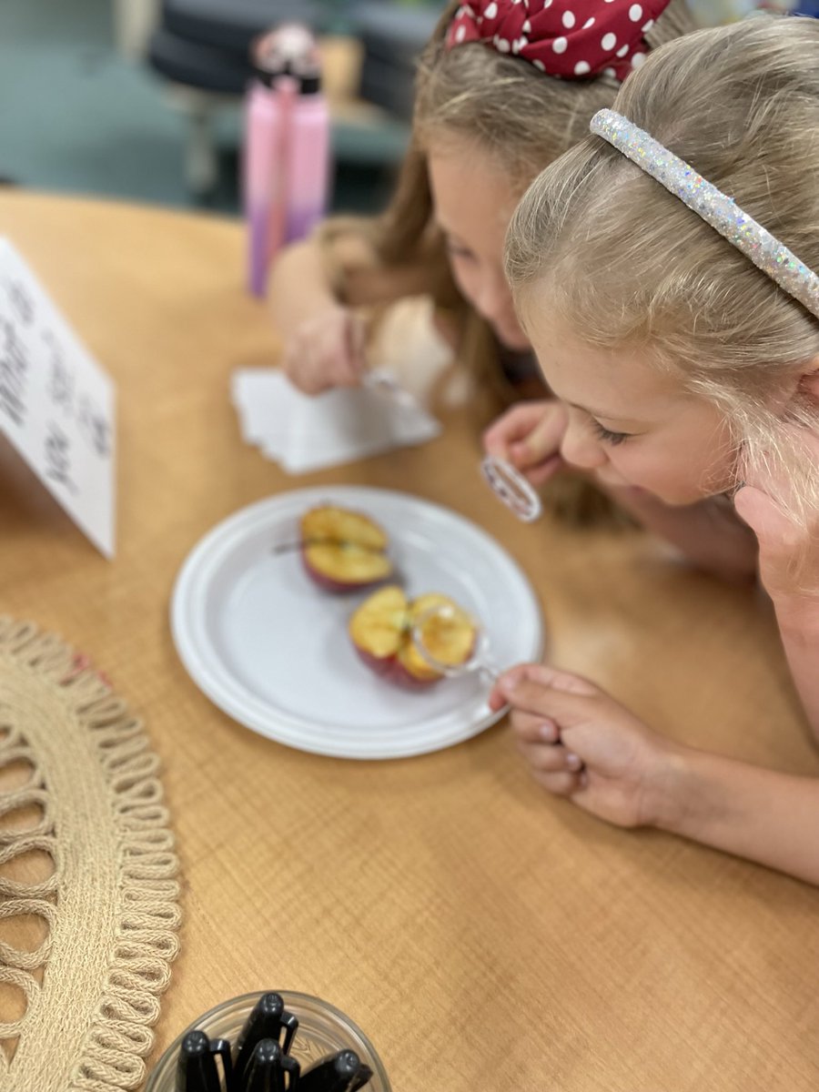 Mrs. Luse (Miss Orbaugh) tweet media