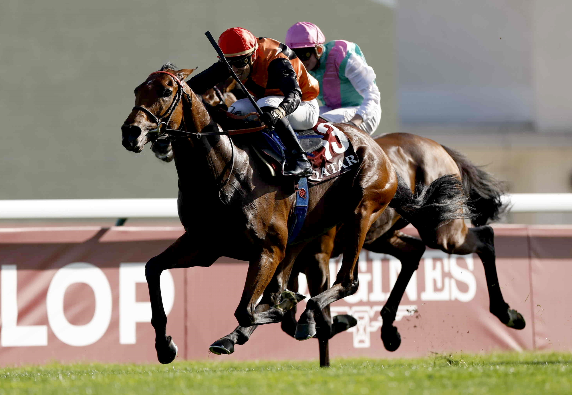 貴重】 2023凱旋門賞馬 エースインパクト C・デムーロ騎手直筆