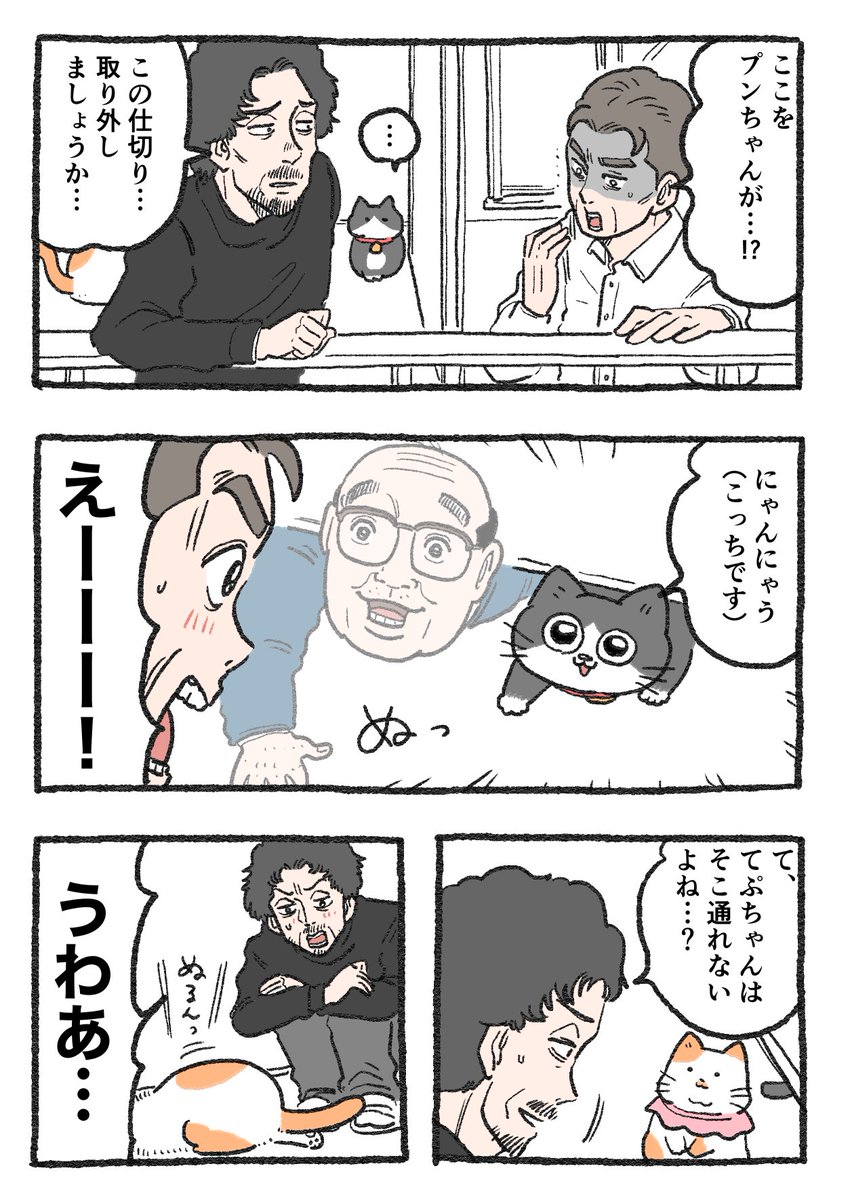ねこおじ様 ねこに転生したおじさん。その239 ✨😺😺💨