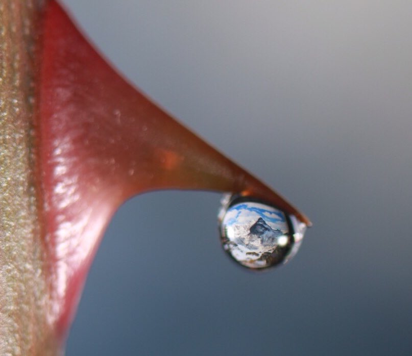 Edgar Ortiz tweet media