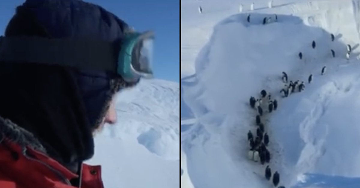 🚨 | BBC film crew broke big ‘no interference’ rule after spotting problem while filming penguins

More below 👇