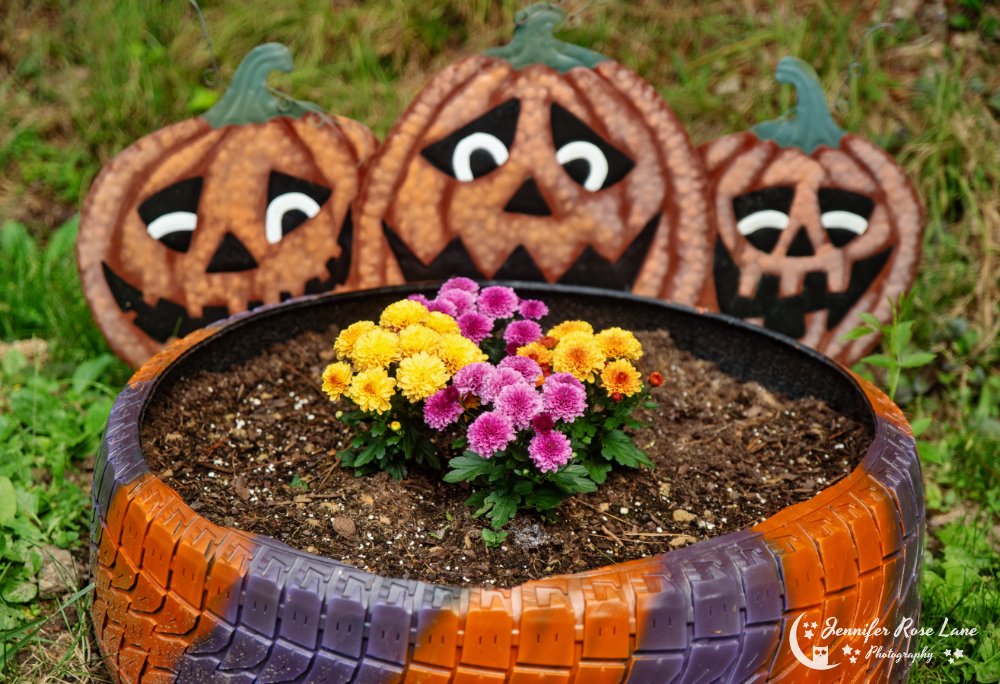 Jens_Starry_Sky's tweet photo. "I have been younger in October than in all the months of spring." π§‘ππ And finally, the month I love the most! Happy first day of October! #HappyOctober #FunSeason #pumpkins #mums @ThePhotoHour https://t.co/8b4VeUkmTS