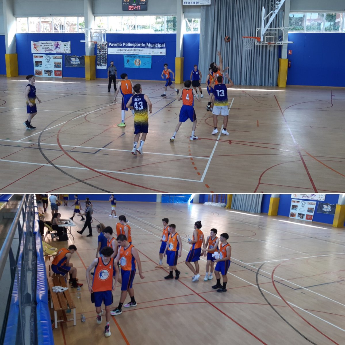 bàsquetOMS tweet media