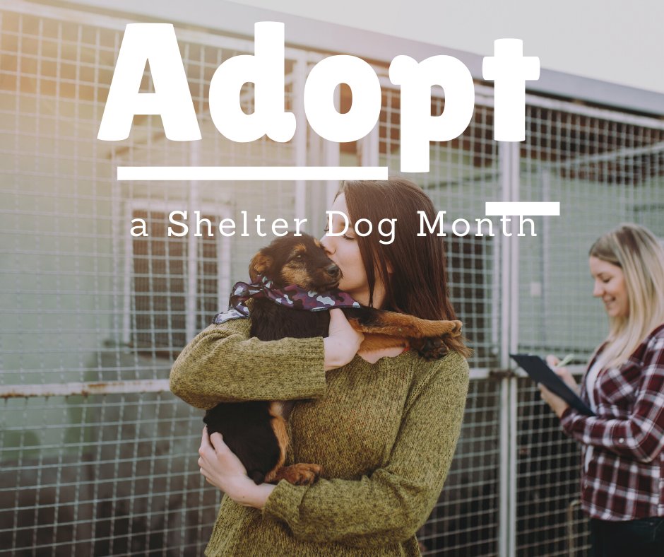 October is #AdoptaShelterDogMonth.

If you have been considering adding a furry pet to your family, now is the perfect time to do so! ❤️🐶