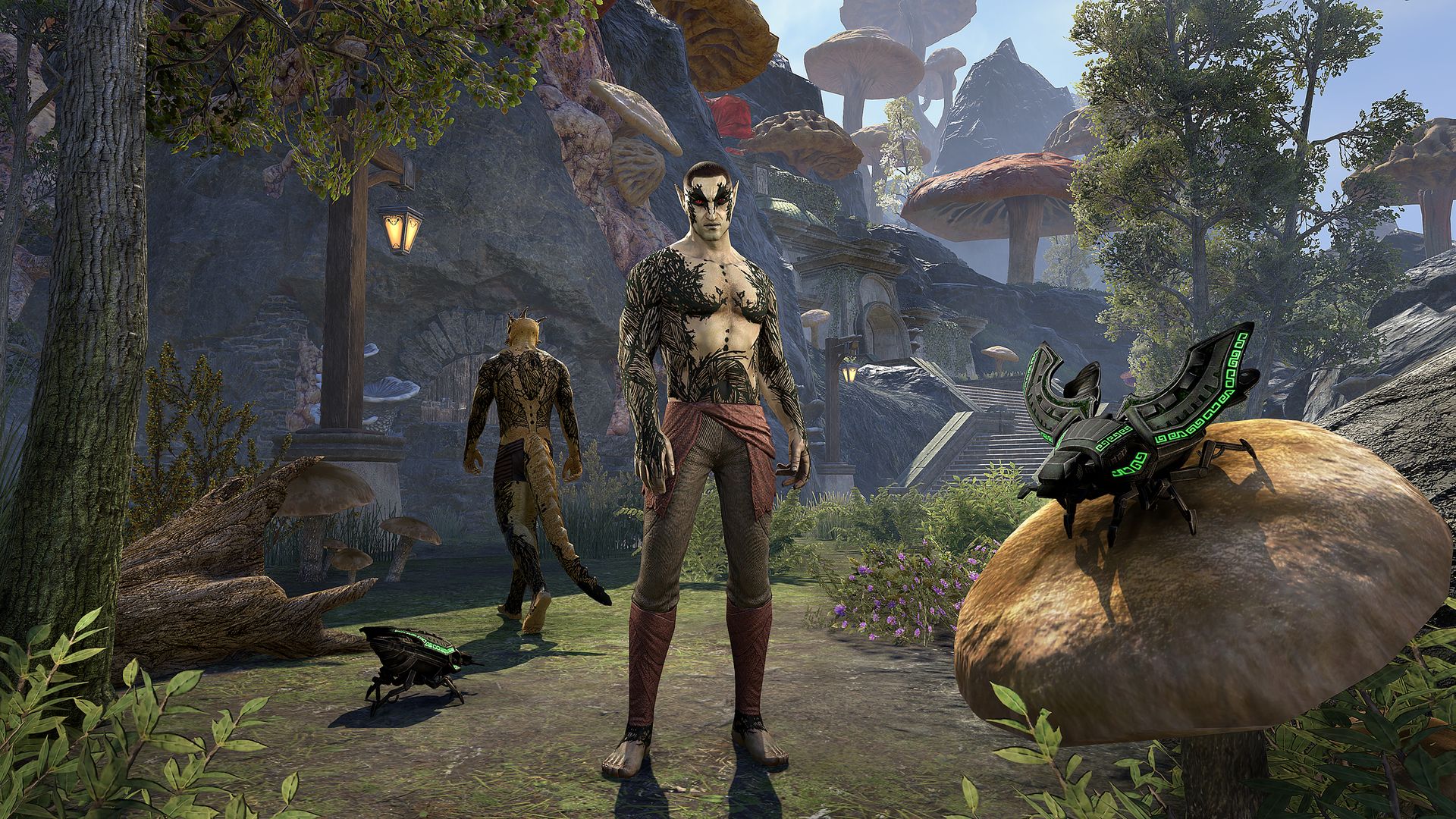 Elder Scrolls Online offers first person