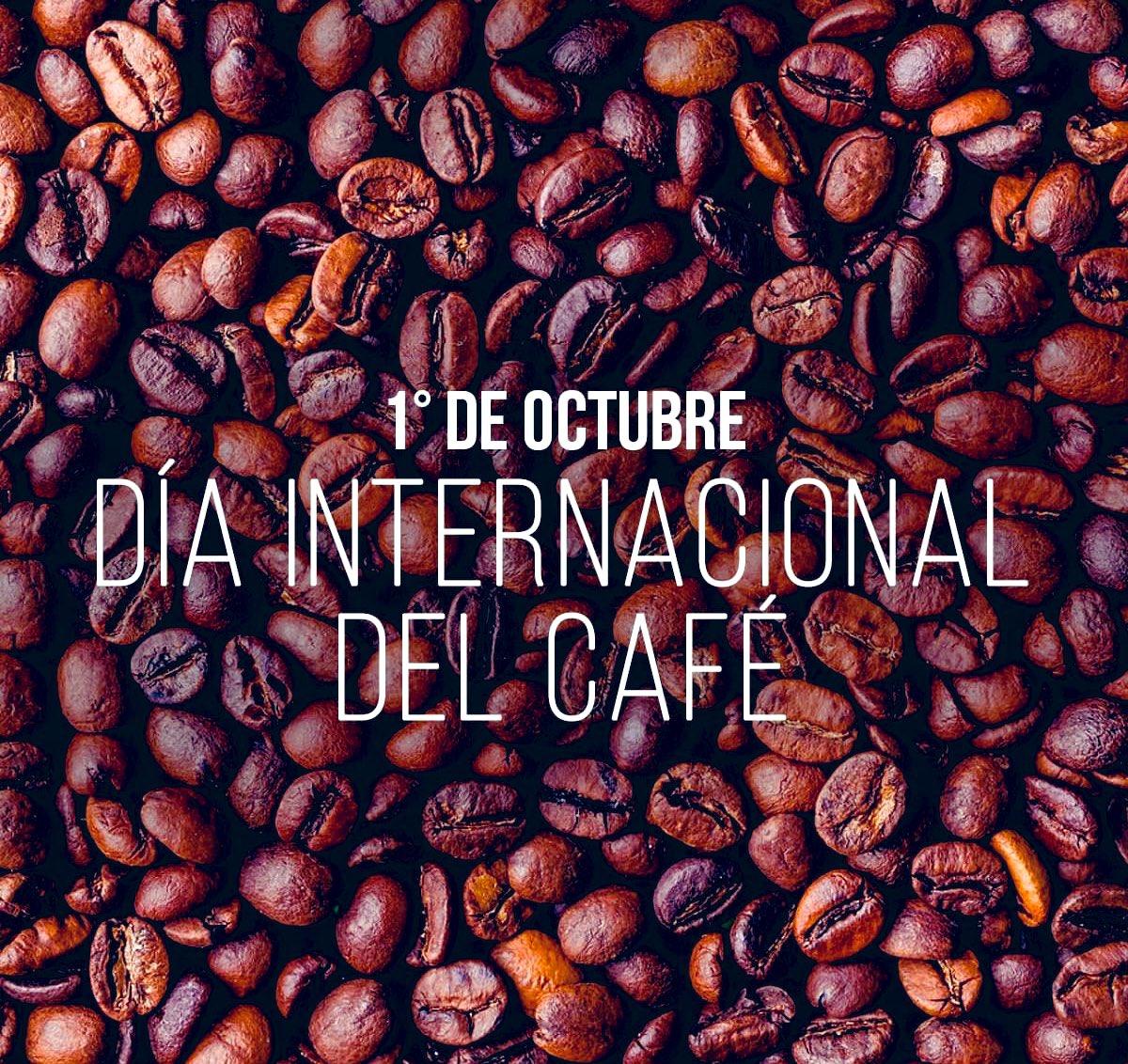 Bonito día ☀️☕️♥️  #Domingo 
#DiaInternacionalDelCafé