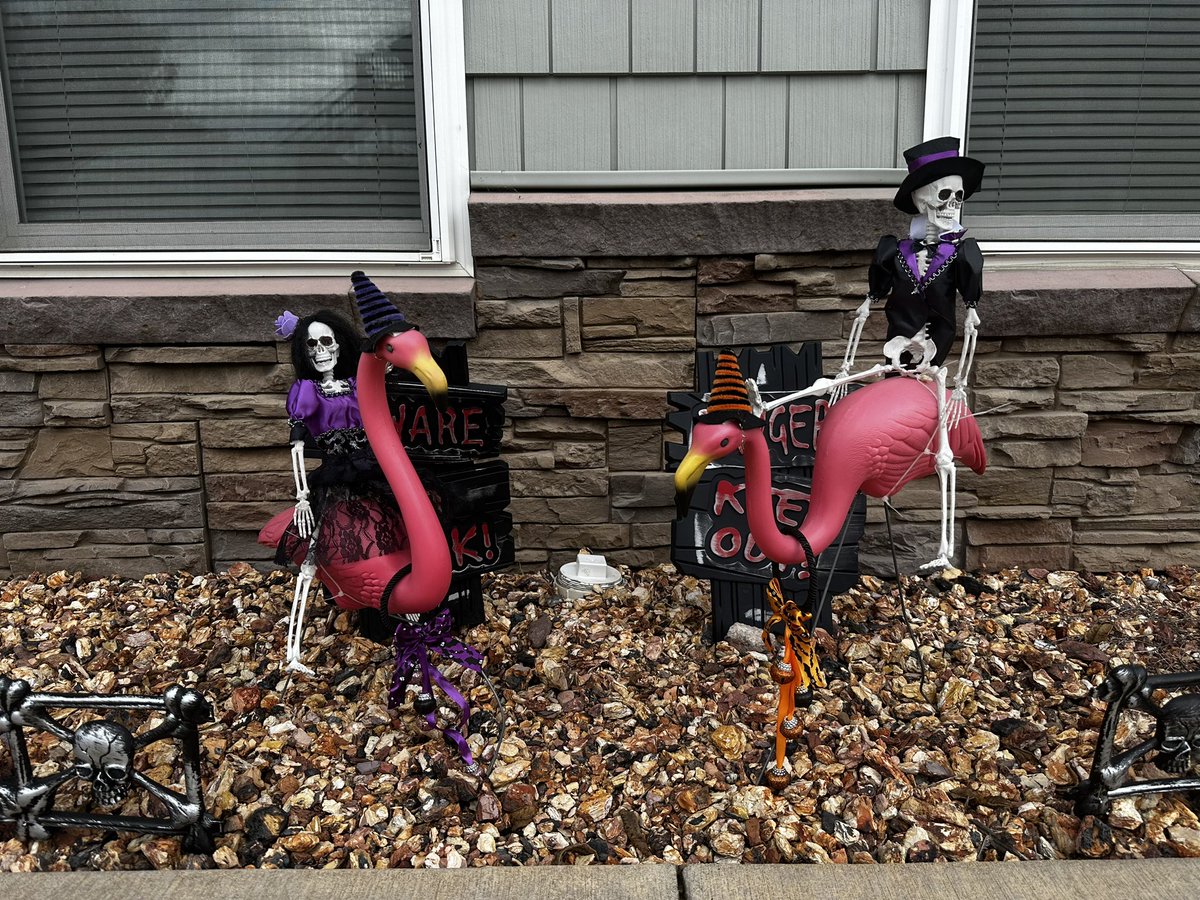 daniilynn522's tweet photo. It’s that time of year again 🤣🤣🤣 #Halloween #Halloween2023 #halloweendecor https://t.co/Bzrmctcq9B