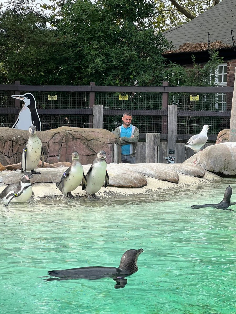 ealmajed1's tweet photo. Go to the zoo on vacation and relax, it will make you happy, because watching them run free will give you energy. And they are so cute❤️ https://t.co/vUd3kUG0yv