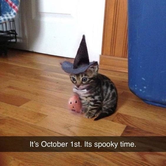 Happy October 1st