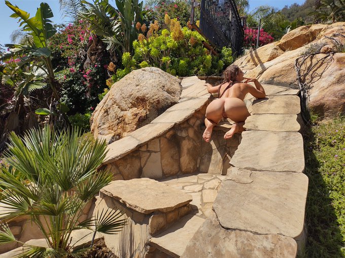 Can you spot the wild Savannah Fox? blending here in nature, be careful not to spook her she might squirt