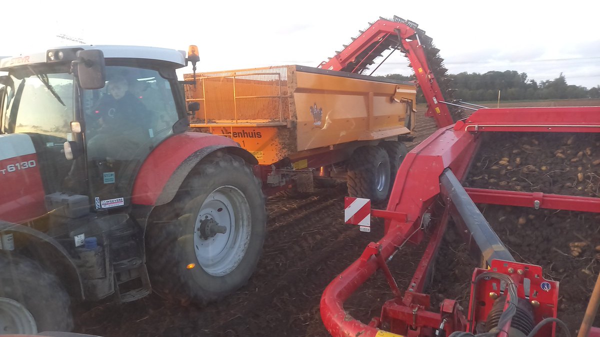 LoddersJaap's tweet photo. Vandaag verder met aardappelen rooien. #donata @Avikoaardappel https://t.co/ULrfT4zRyO