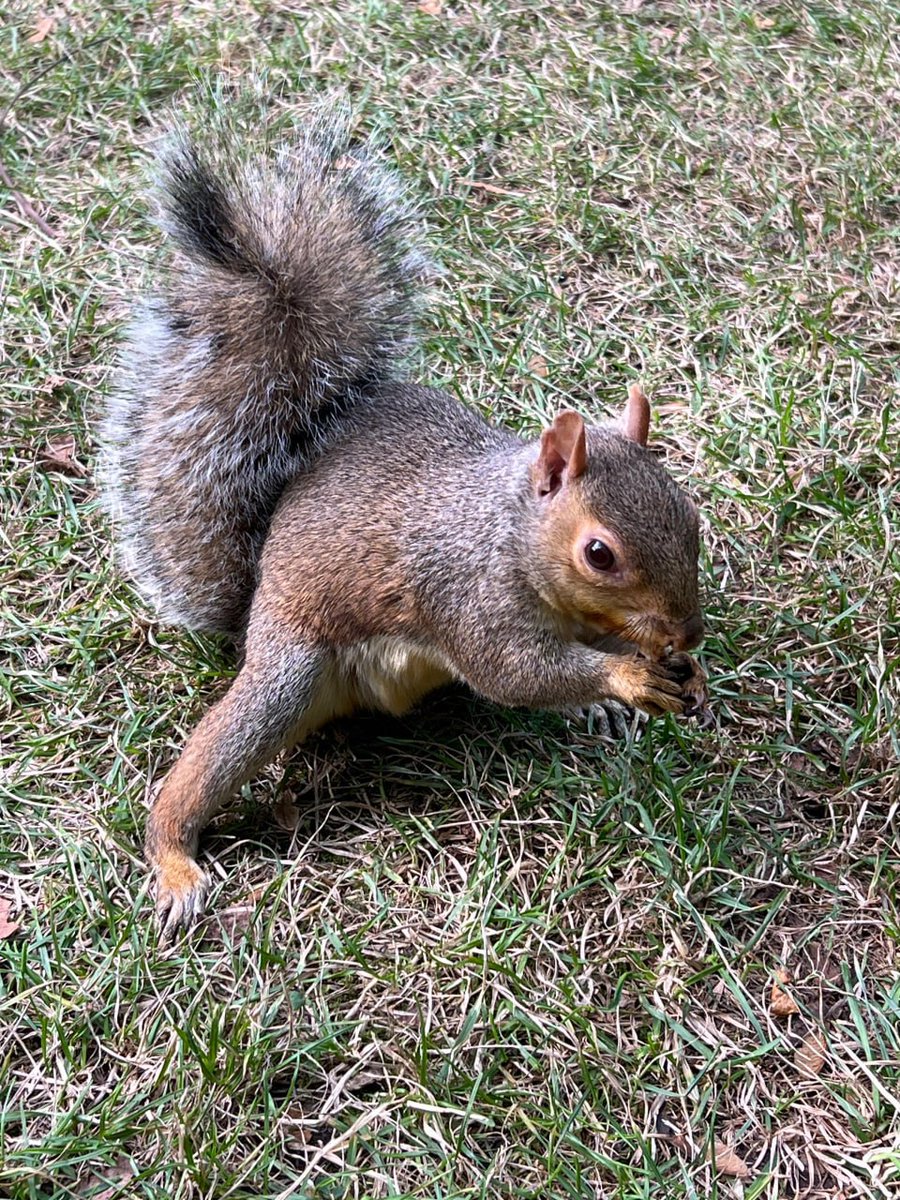 Go to the zoo on vacation and relax, it will make you happy, because watching them run free will give you energy. And they are so cute❤️