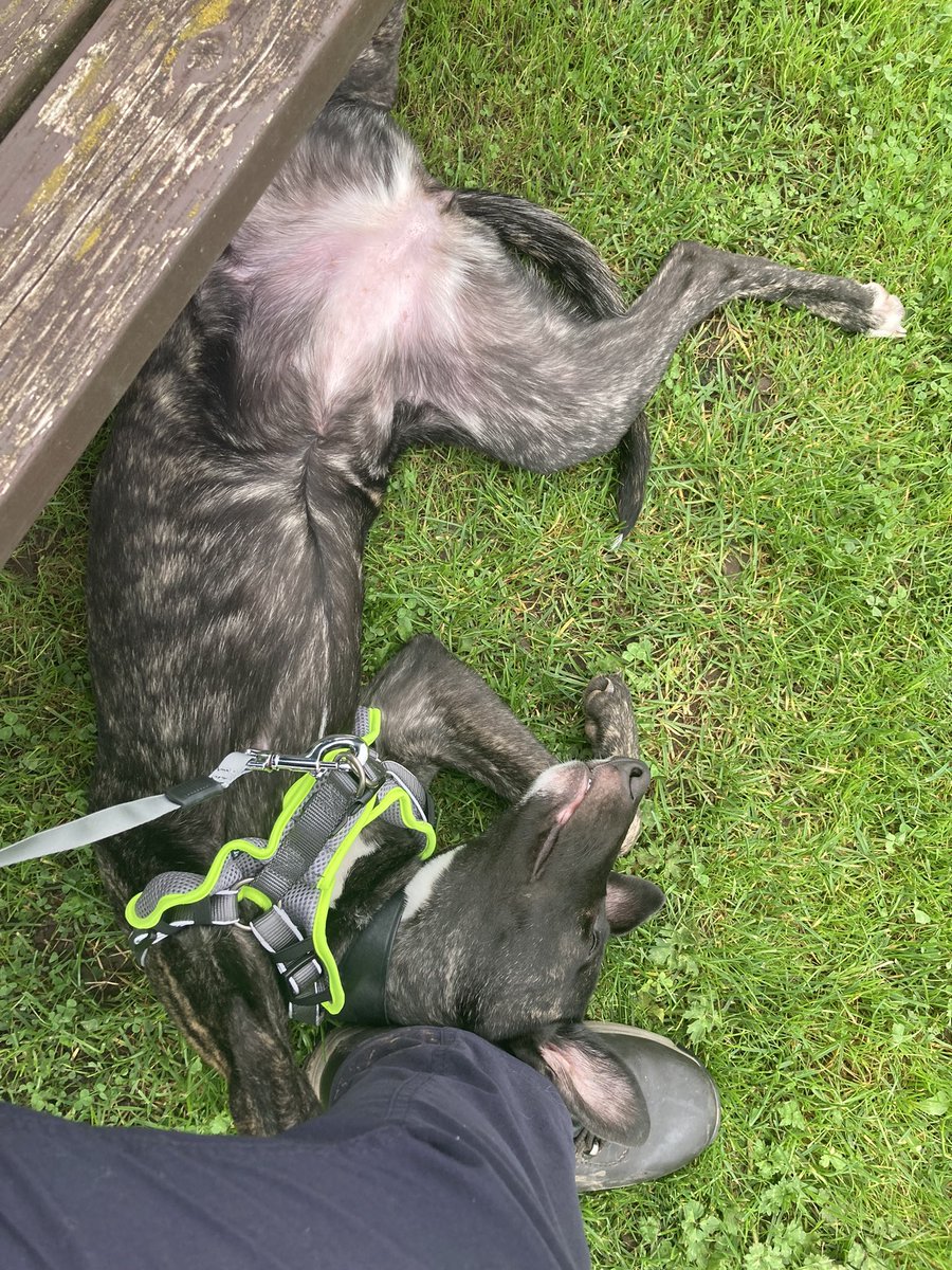 Becky Billingsley RGN, BSc Hons tweet media