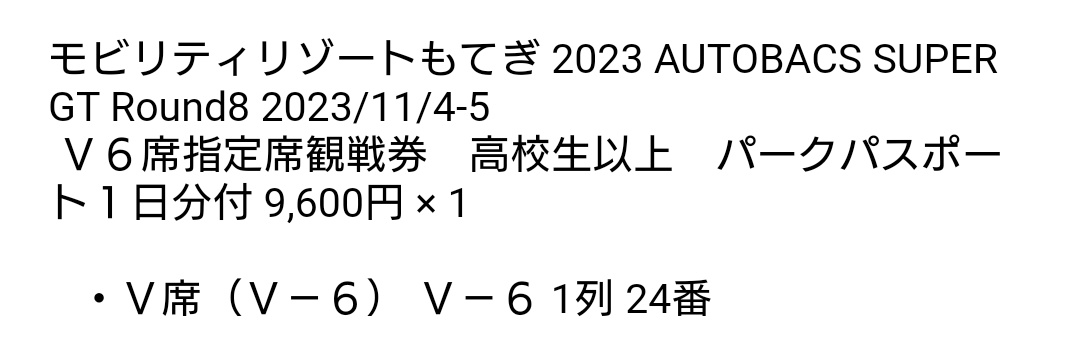 AUTOBACS SUPER GT Round8 V6席指定席観戦券-