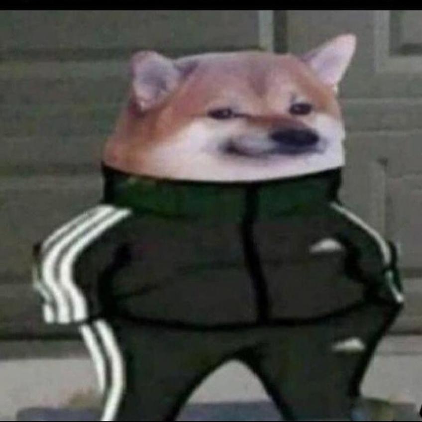 #NoweZdjecieProfilowe