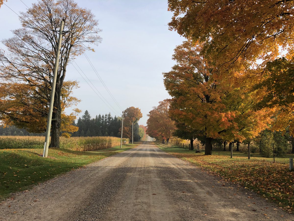 Agriviaggi by Elio Mastrangelo tweet media