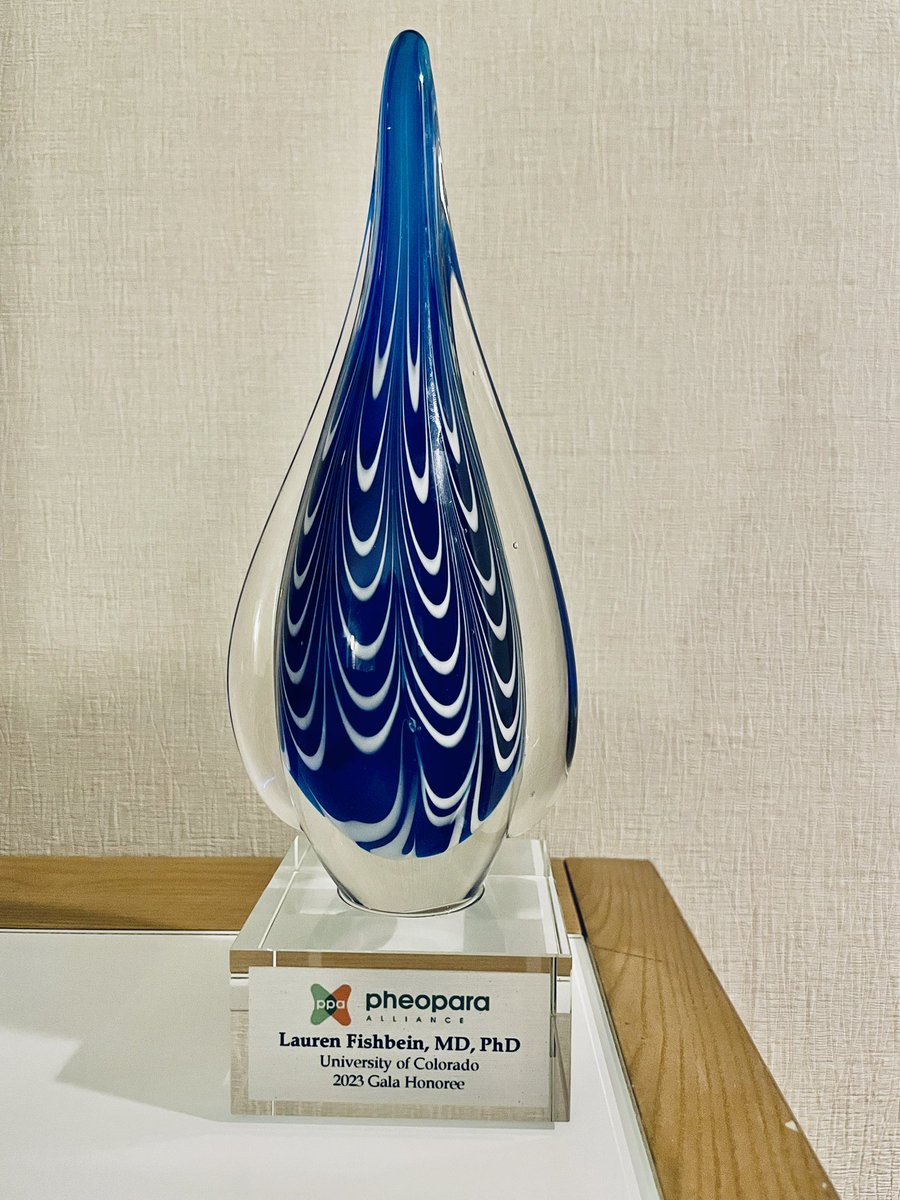 Lauren Fishbein tweet media