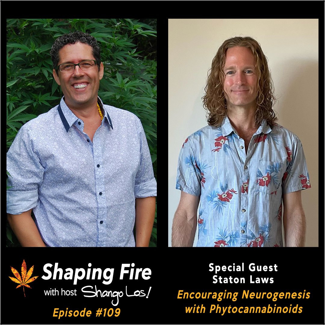 ShapingFire's tweet image. The mechanics of neurogenesis, how cannabis medicine can stimulate the creation of vital neurons, and specific nootropic dosing protocols for those interested in sustaining their brain health and longevity, as well as those who are already facing dementia and Alzheimer's disease.