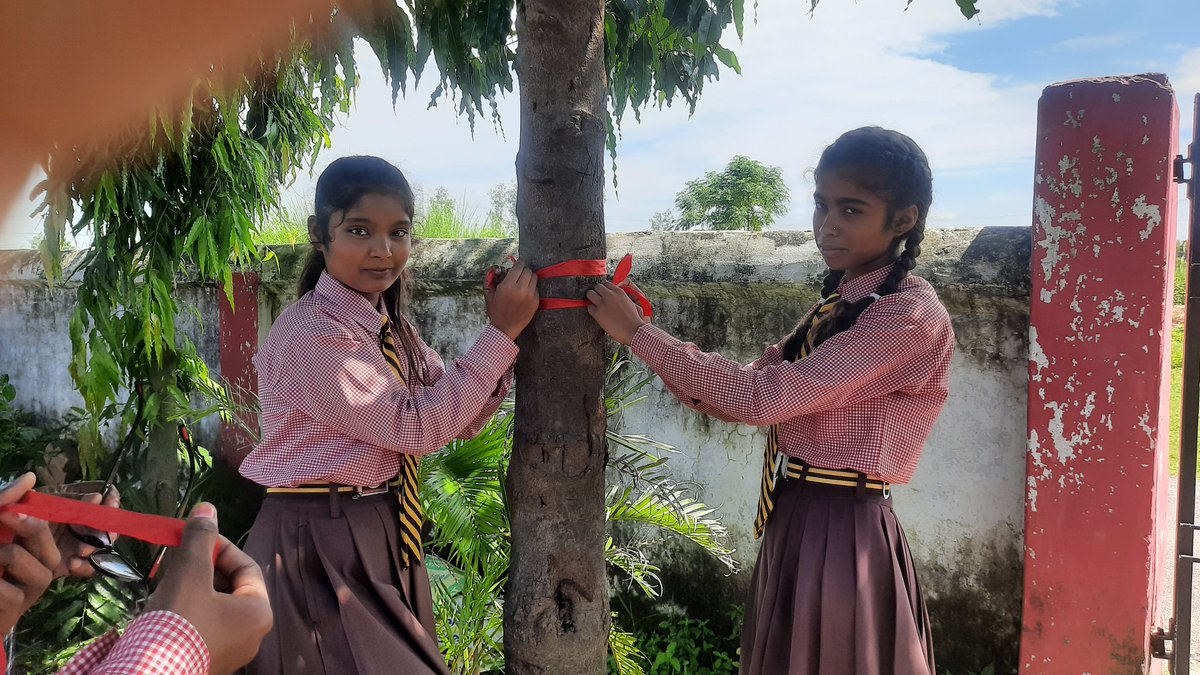 #प्रकृति_मित्र🌳
Name- Anshika Singh 
Designation- Student 
Address- UPS BATRAULI, Hata-Kushinagar
<a href="/shikshansamvad/">मिशन शिक्षण संवाद @shikshansamvad</a>
<a href="/RedTapeMovement/">Red Tape Movement 🌳</a> 
<a href="/teachersclubup/">teachers club</a> <a href="/UNEP/">UN Environment Programme</a> <a href="/Nature/">nature</a> <a href="/eriksolheim/">Erik Solheim</a> <a href="/myogiadityanath/">Yogi Adityanath</a>
<a href="/narendramodi/">Narendra Modi</a> #nature_friend
साभार- टीम प्रकृति मित्र मिशन शिक्षण संवाद