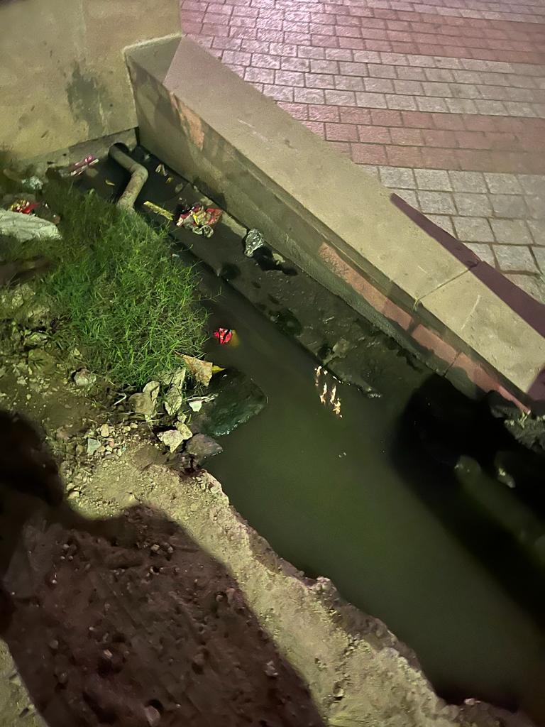 ASHSRI17's tweet photo. @CeoNoida Good evening sir!
A very foul smell is emanating from the stagnant water in the drain outside our society . Some pictures are attached for ready reference. Request advice concerned for prompt action please. 
Regards 
Ashish Srivastava
R/O ACE GOLFSHIRE SECTOR 150 NOIDA https://t.co/VpVbpUVRiF