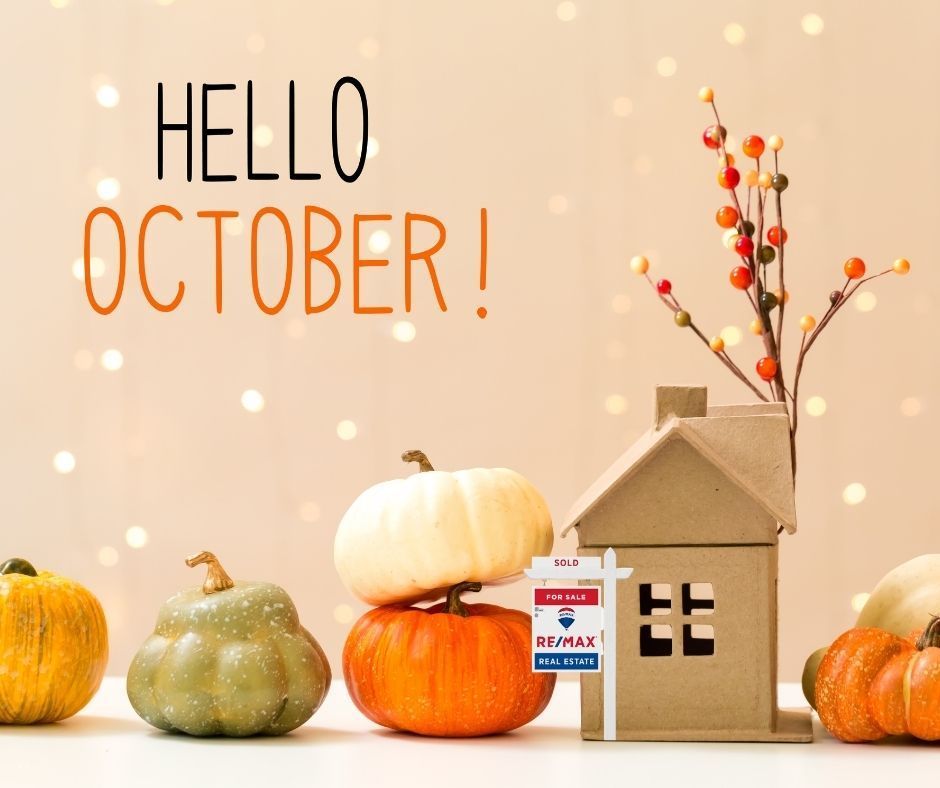 MyResultsRealty's tweet photo. No Tricks, Just Treats! Let's put together a sweet real estate deal for you this month. 

https://t.co/zjGNrMrmUa https://t.co/RGZjwVlT0e