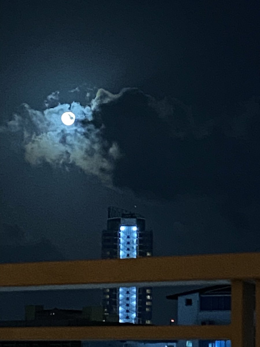 Quiero a alguien que quiera disfrutar de momentos como este conmigo …