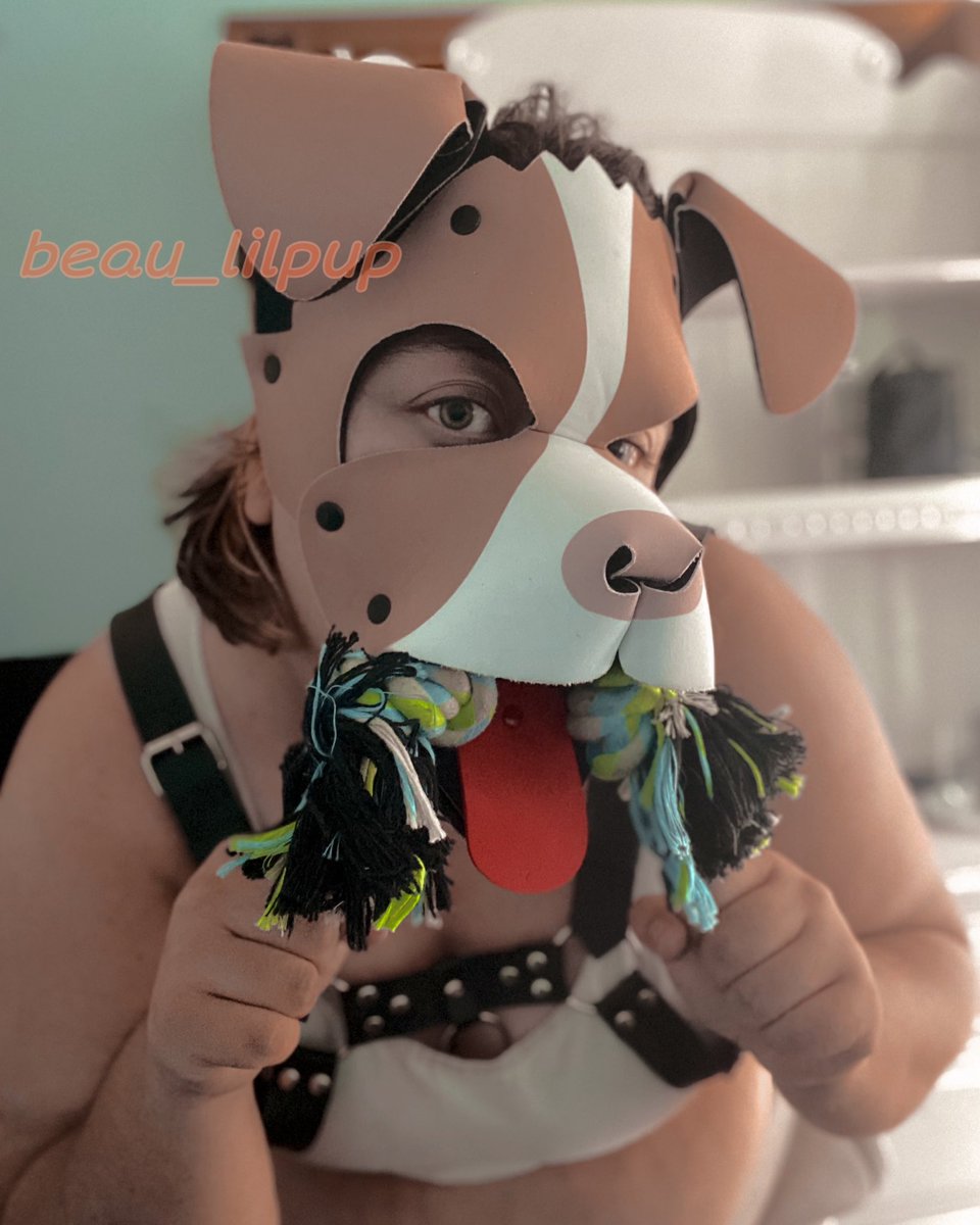 prey_doggy's tweet photo. RAAAAHHH GUESS WHO’S BACK RAAAAAHHHH

[He/It, minors DNI]

#petplay #pupplay #humanpup #humanpuppy #pupplaybdsm #puphood #gaypup #transpup #queerpup #puppysub #bdsm #kink #wruffstuff https://t.co/iIeQYvmo7W