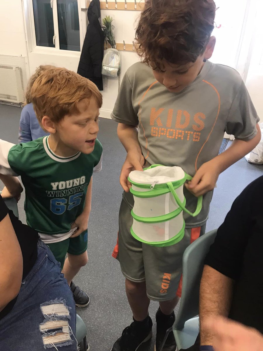 FiFi's Vision C.I.C tweet media