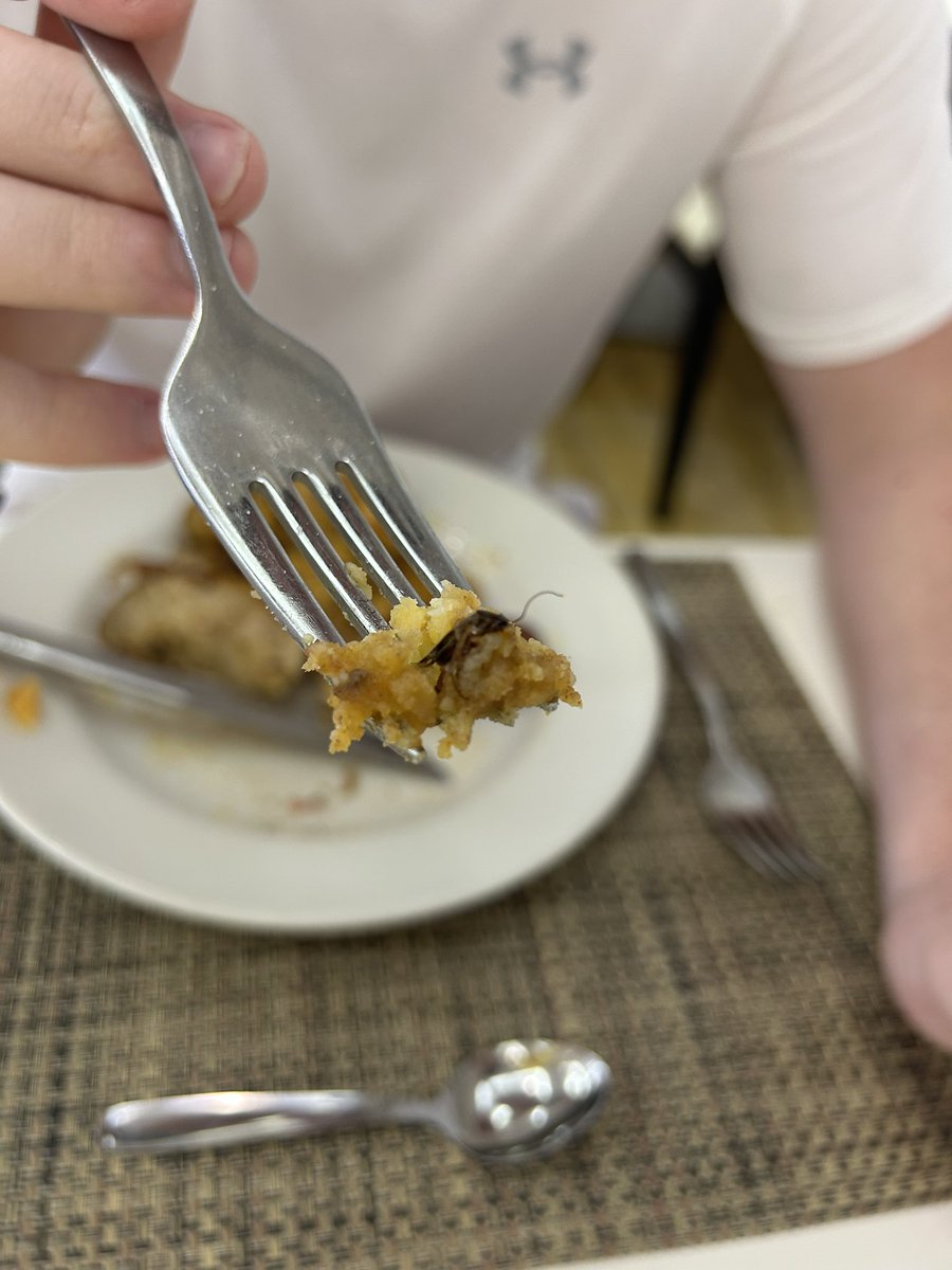 JessicaChaneyy's tweet photo. Didn’t want to take to social media to do this but I have no choice…after my partner submitting a detailed report on how we found a bug of some sort in his food in the hotel we booked through @loveholidays …pt 2 see below https://t.co/UAfDROhxMe
