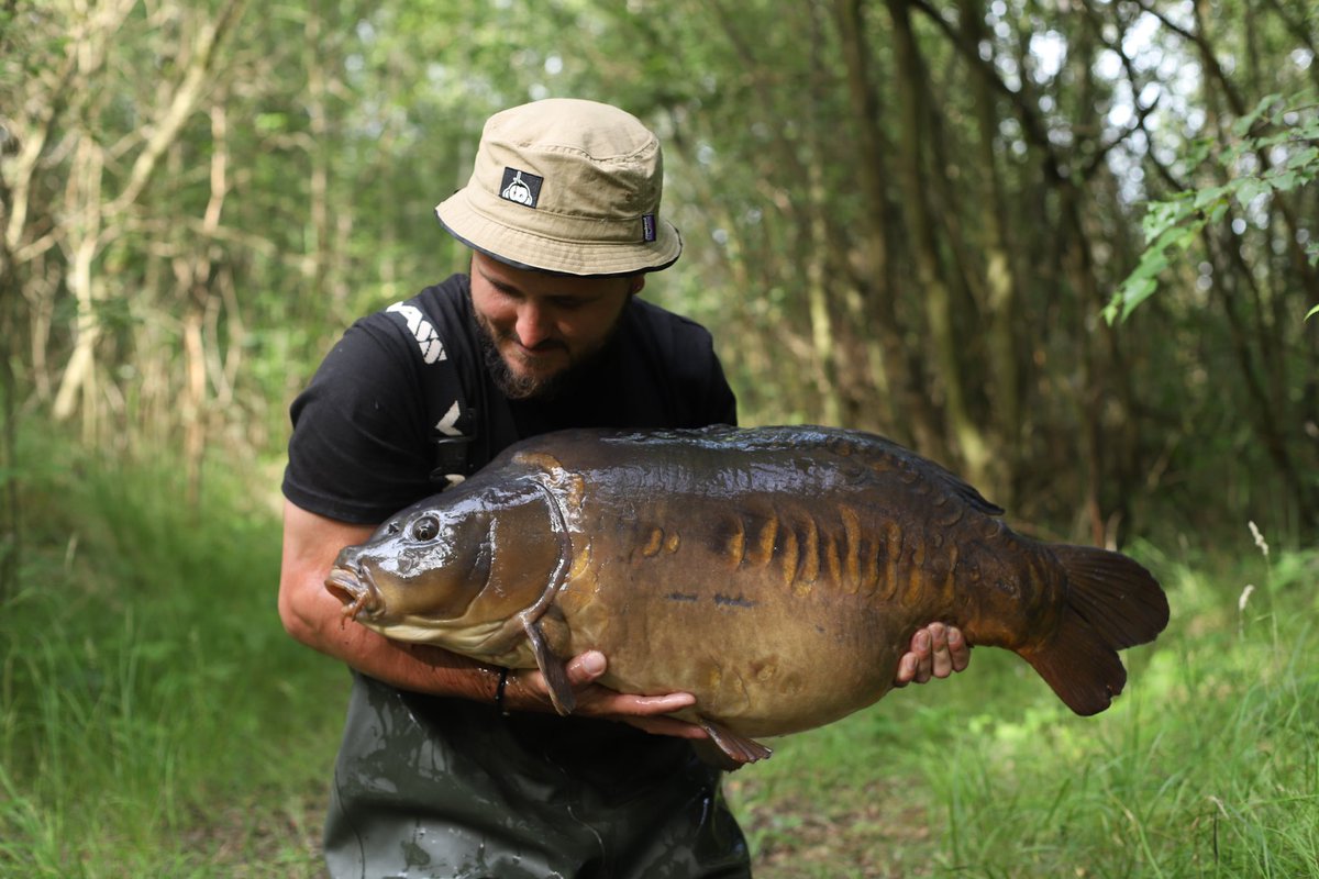 dalencfc's tweet image. 🐋